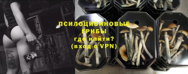 а пвп мука Няндома