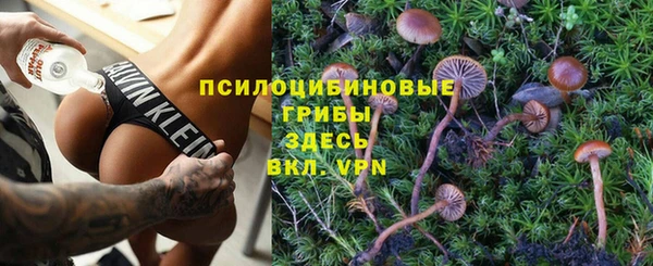 гашик Нягань