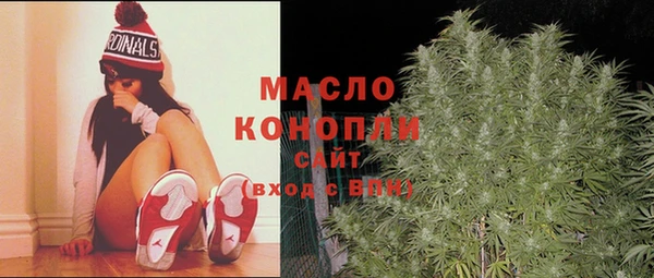 гашик Нягань